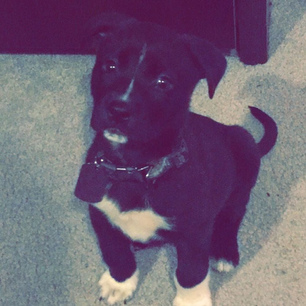 Meet your Posher, Kimi